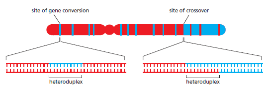 Figure 5-58.png